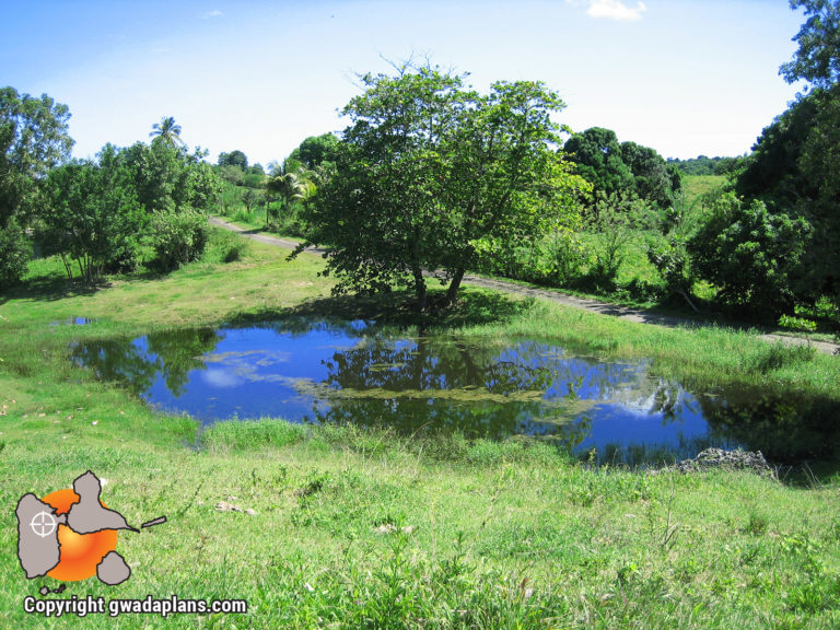 Etang des Grands Fonds