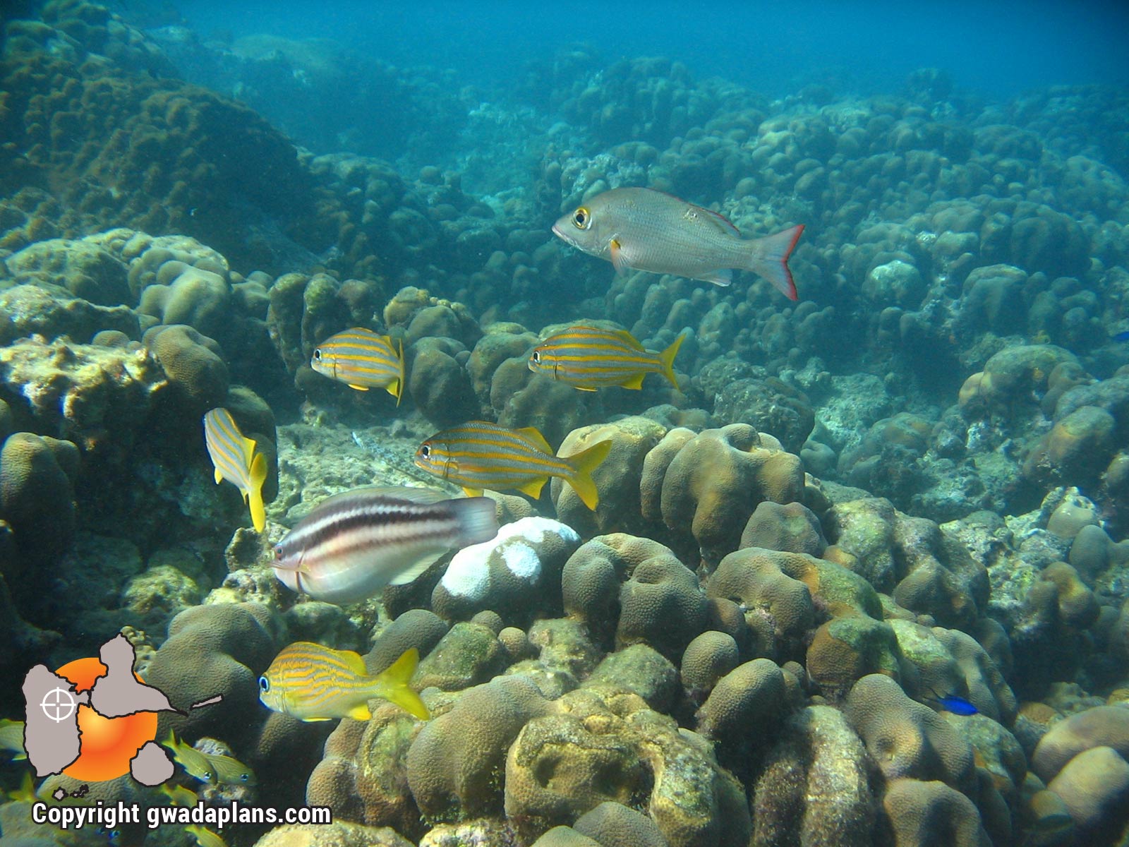 Fonds marins