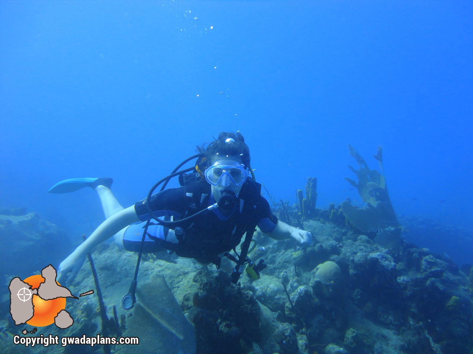 Plongeur réserve cousteau