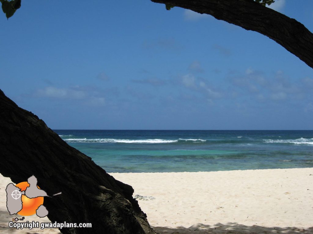Plage d'Anse Laborde