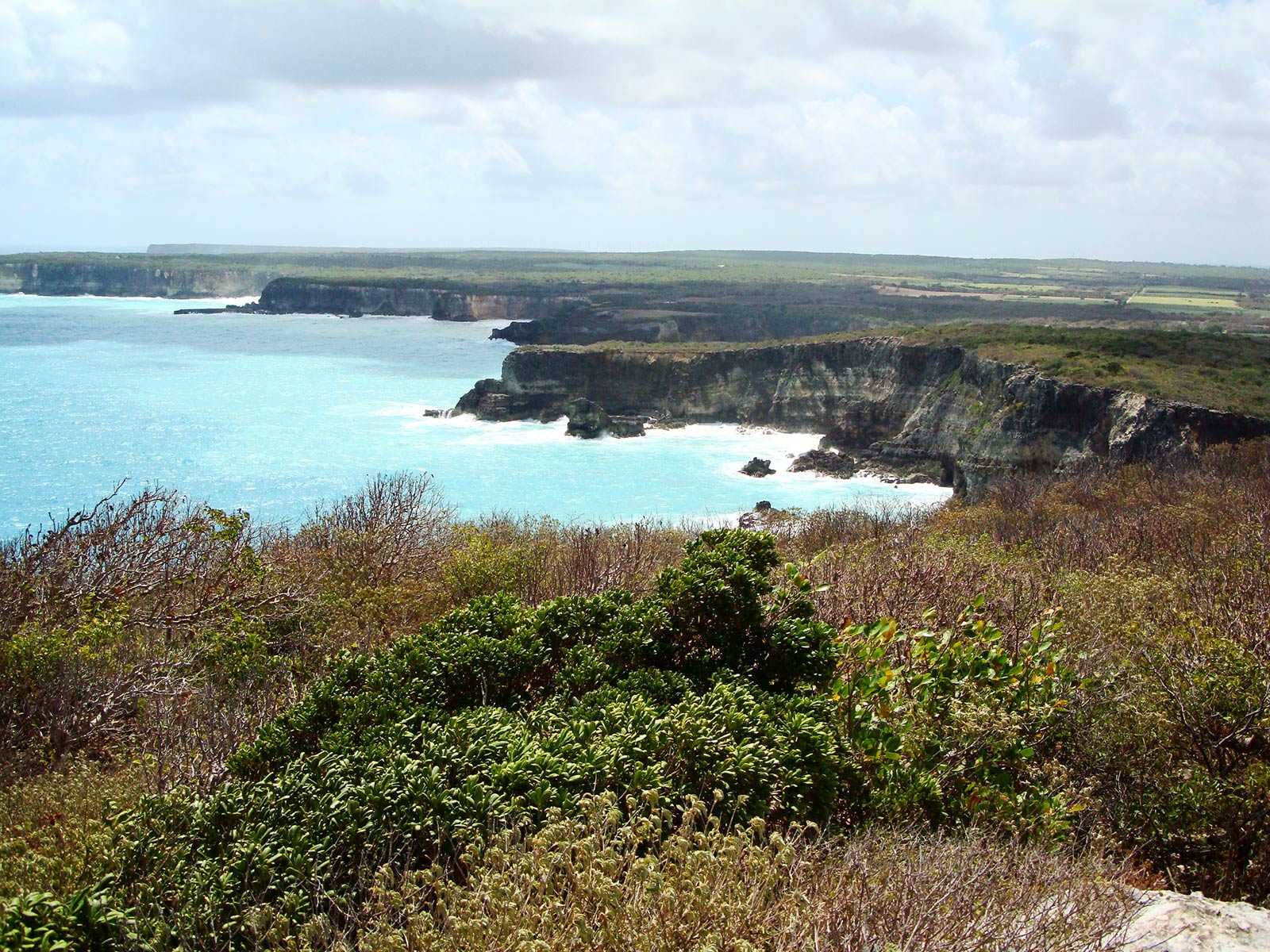 Falaises d'Anse Bertrand