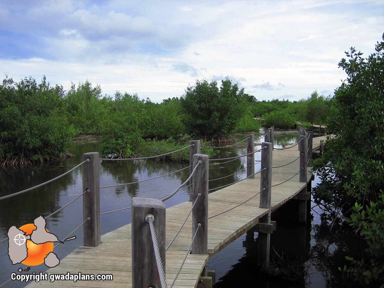 Mangrove - Port Louis