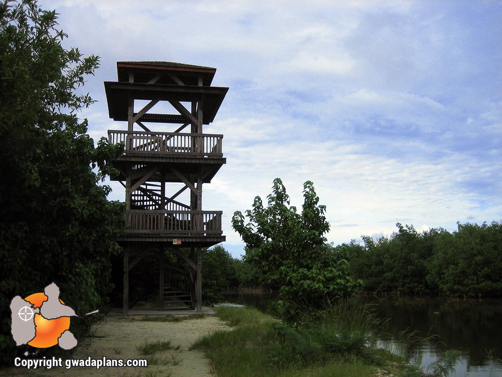 Mangrove - Port Louis