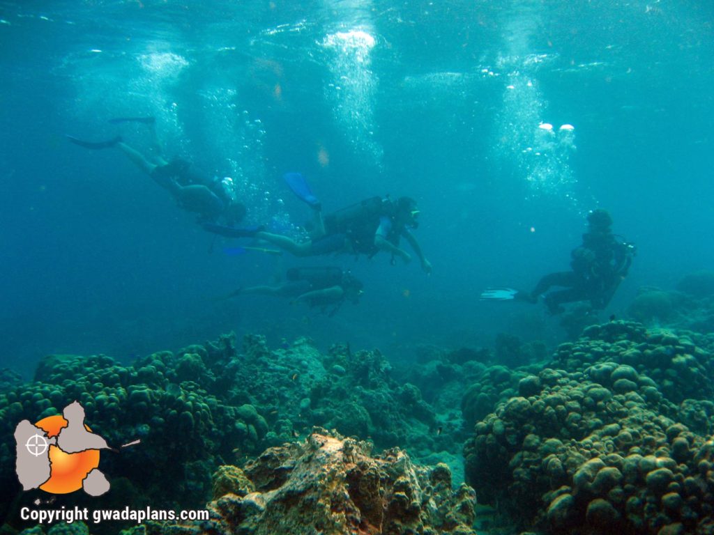 Plongeurs Guadeloupe