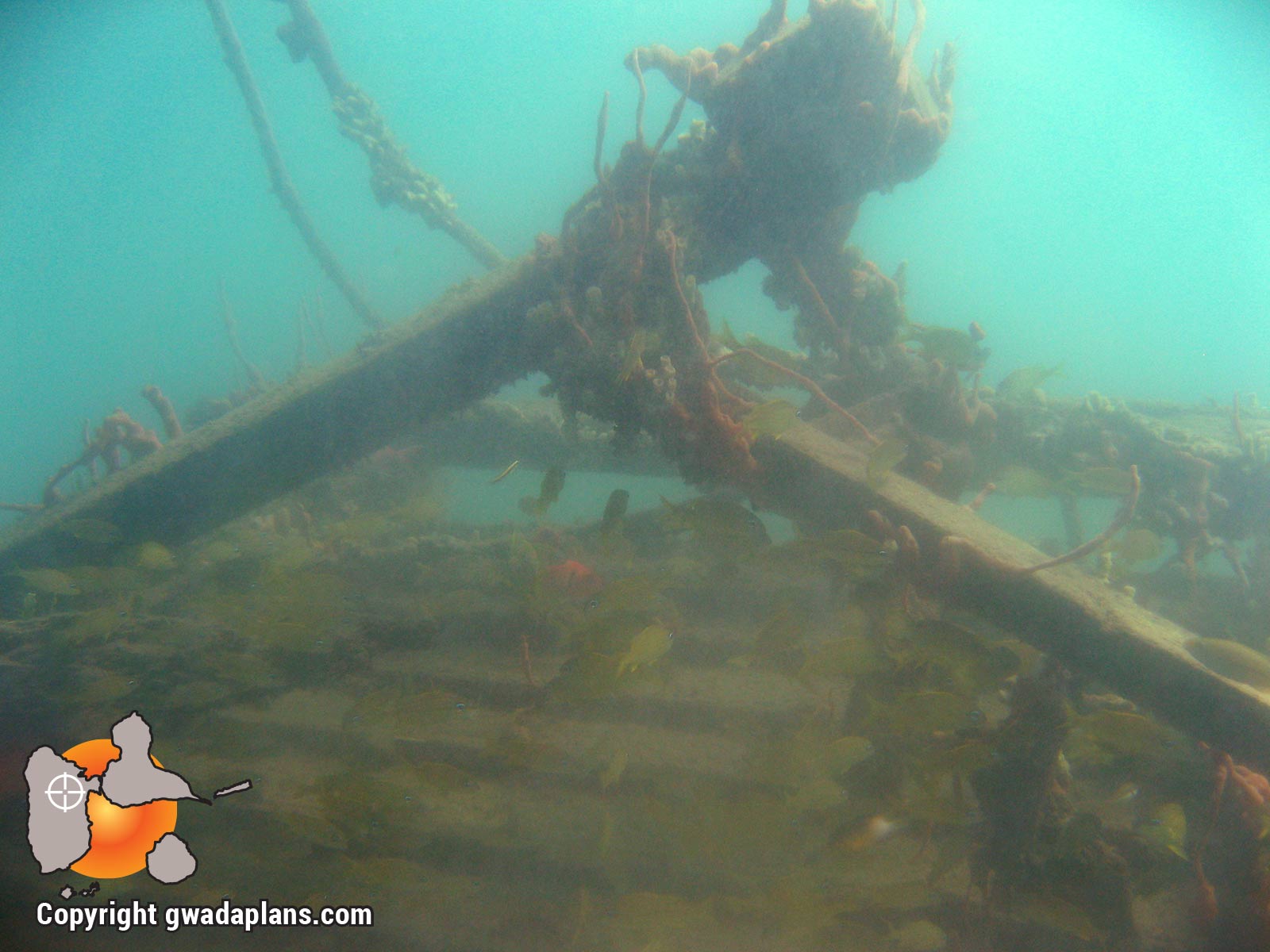 Epaves Anse à la Barque : fond de cale de bateau