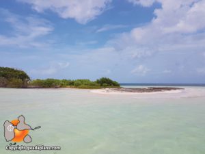 Ilet Blanc - Guadeloupe