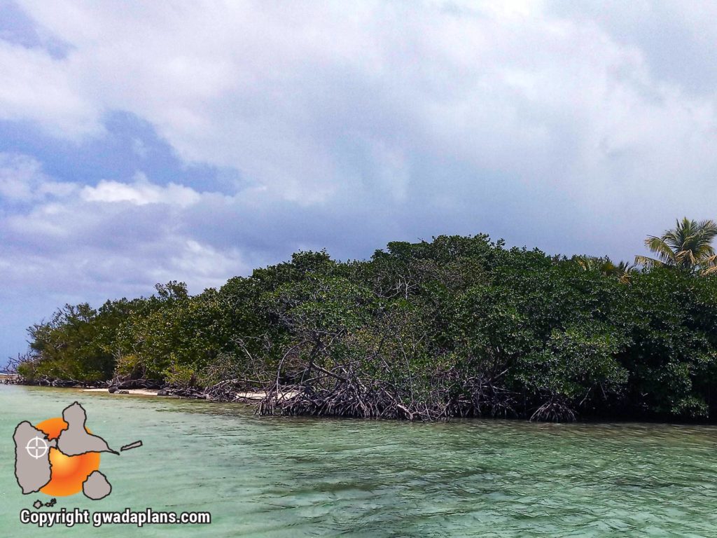 Ilet Fortune - Guadeloupe