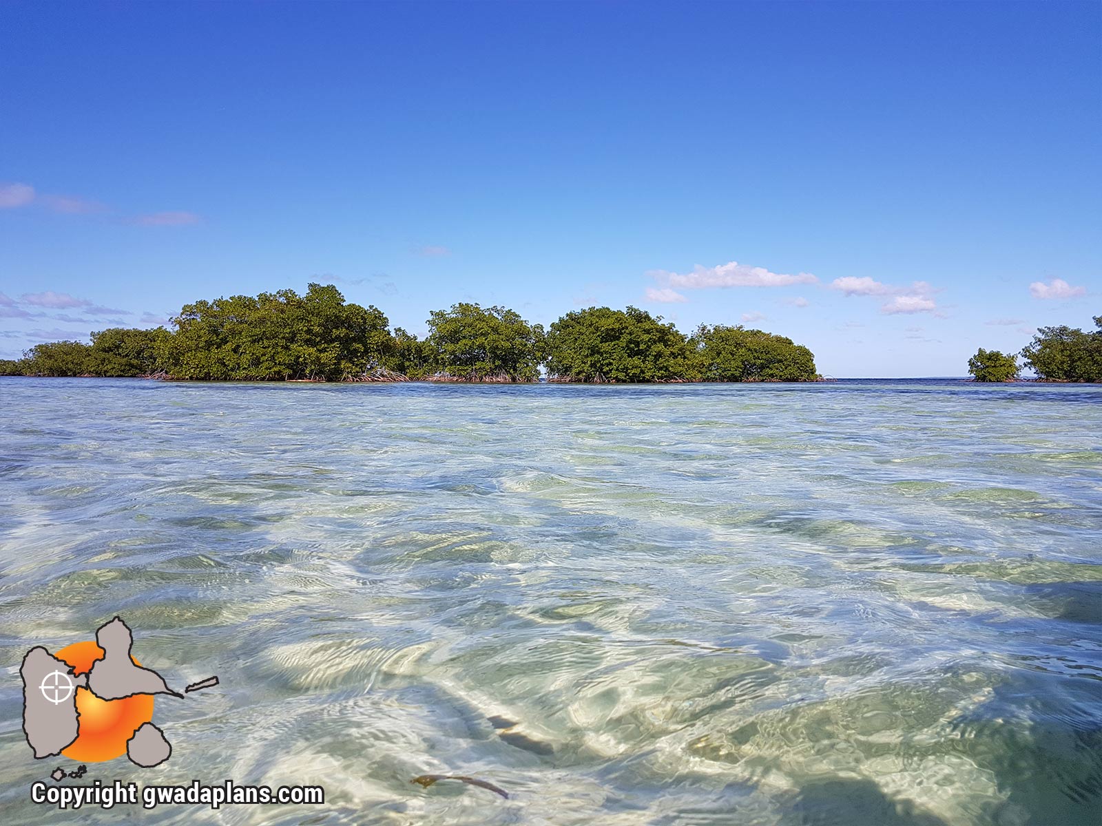 Réserve Marine Guadeloupe