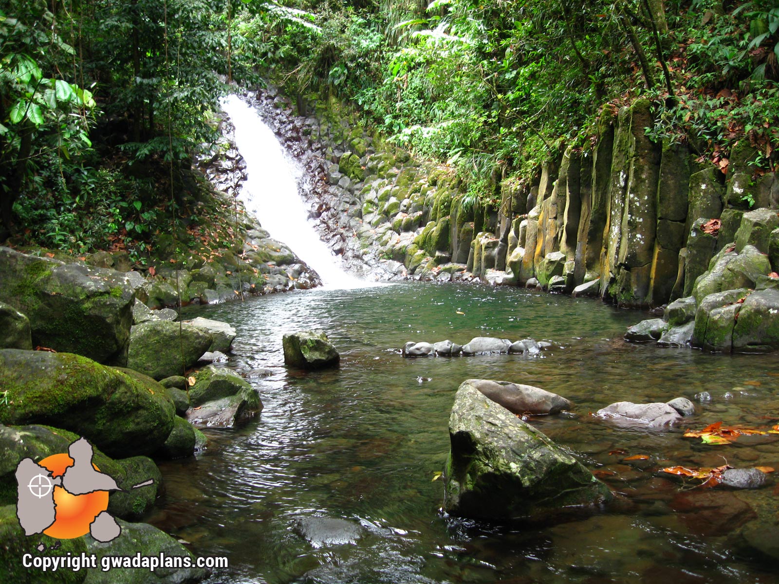 Ravine Paradis - Vieux-Habitants
