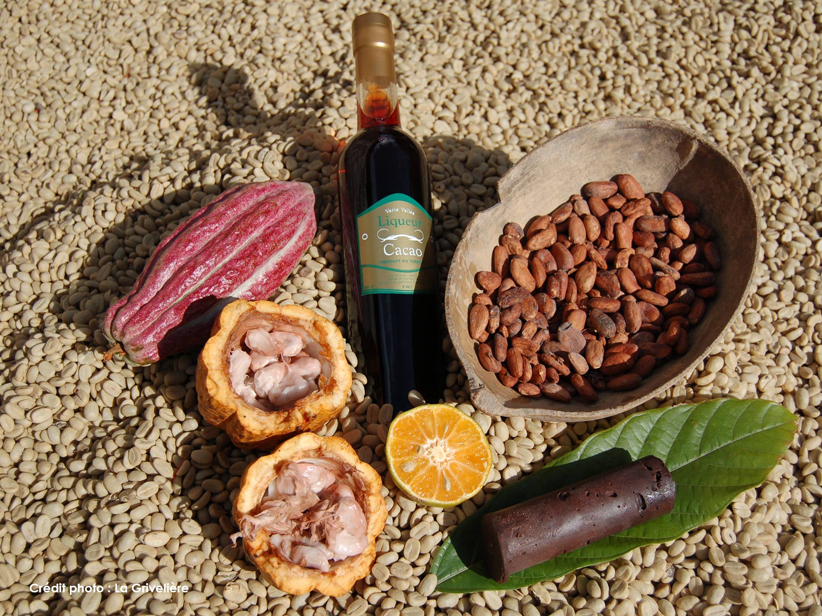Habitation La Grivelière - Cacao