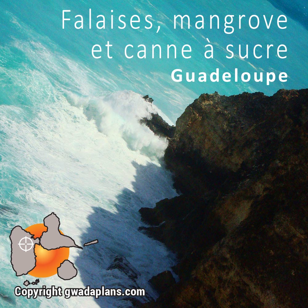Falaises, mangrove et canne à sucre - Itinéraires Guadeloupe