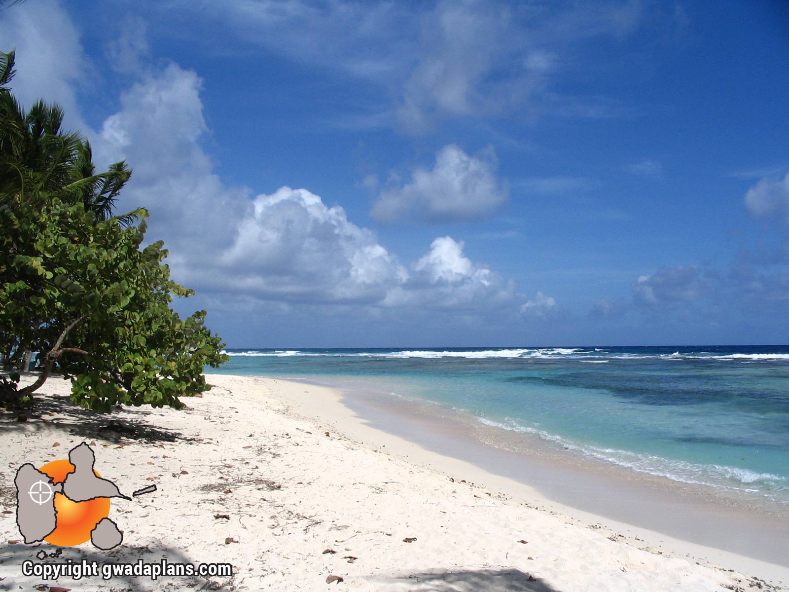 Plage tropicale - Ambiance Guadeloupe