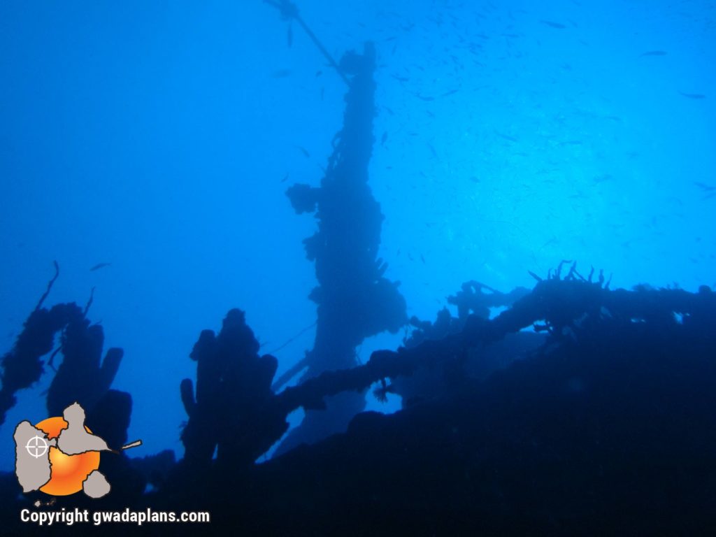 Epave Gustavia – Réserve Cousteau