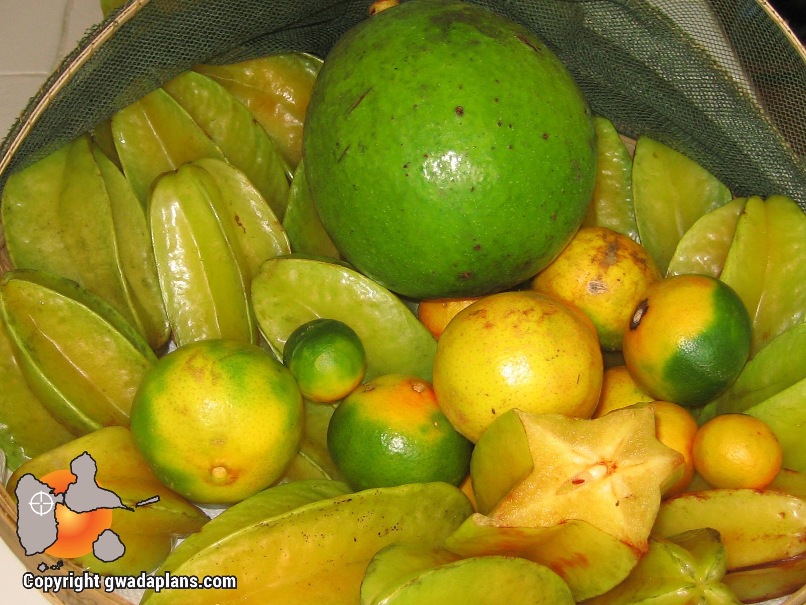 Avocat, caramboles et citrons verts - Gastronomie Guadeloupe