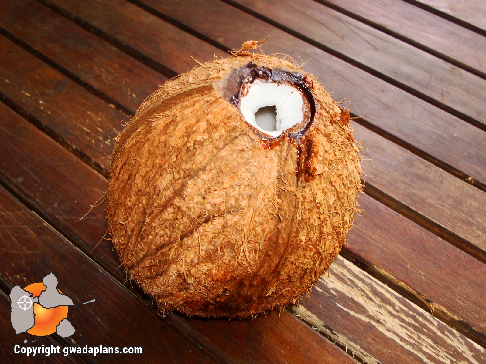 Noix de coco sèche - Gastronomie Guadeloupe