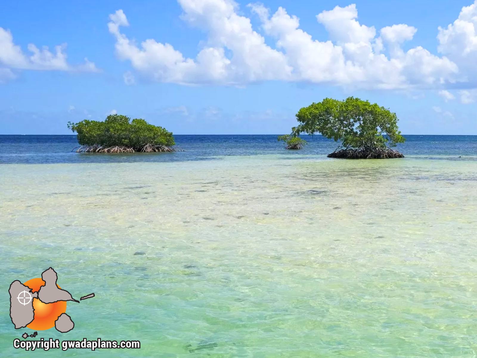 Surf Guadeloupe - GRAND-CUL-de-SAC Marin