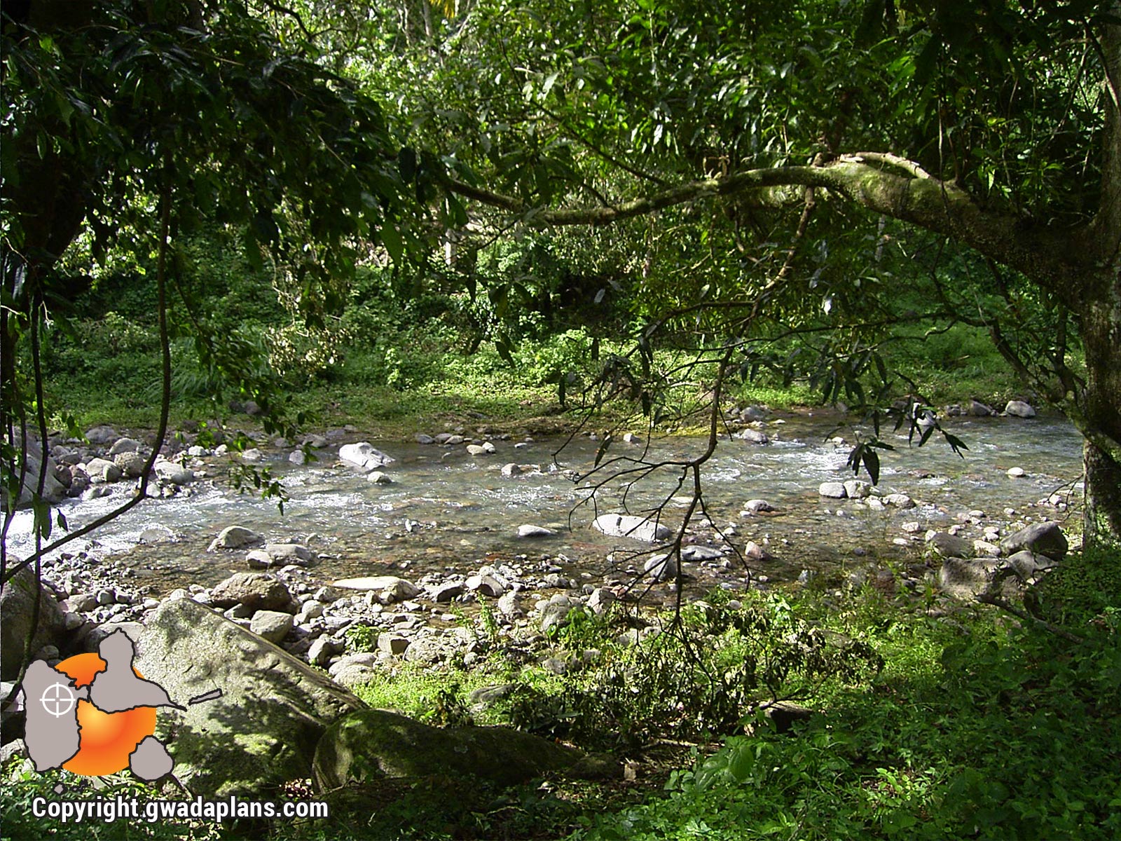 Rivière de Beaugrendre - Vieux-Habitants