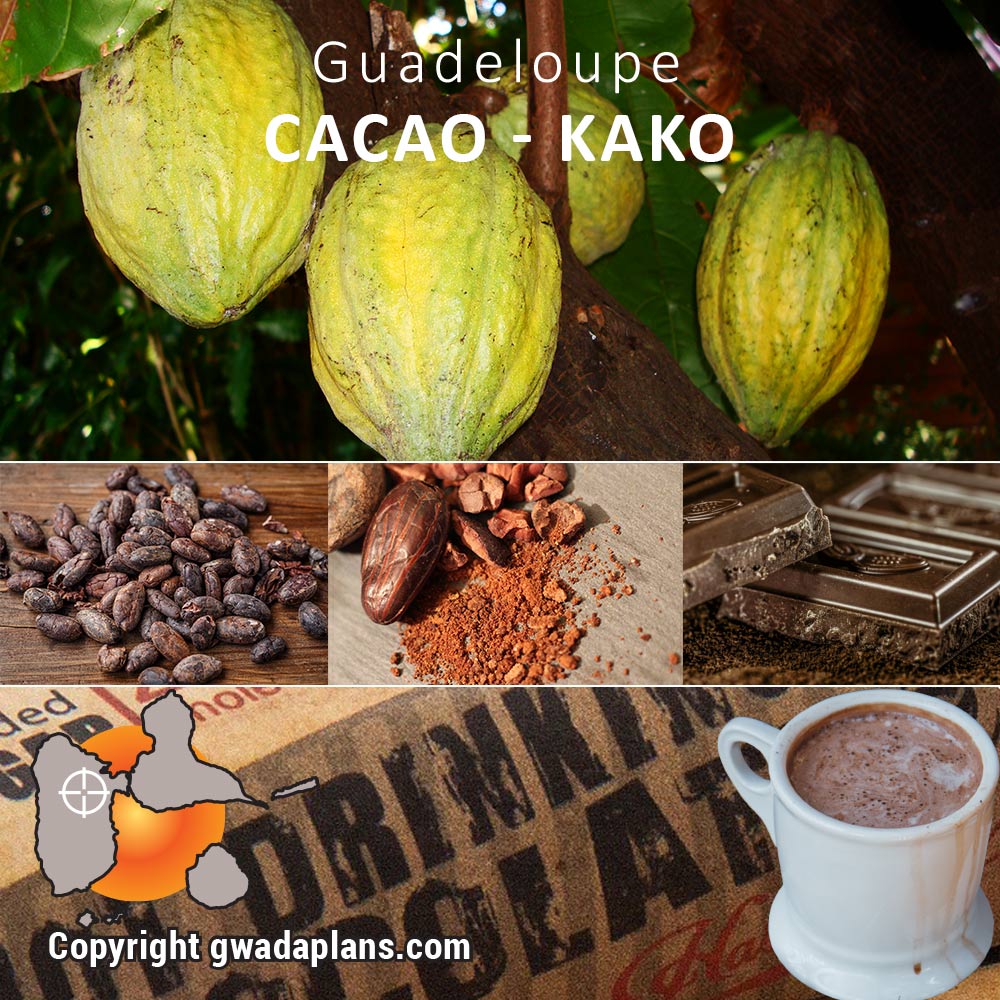 Cacao - Kako Guadeloupe