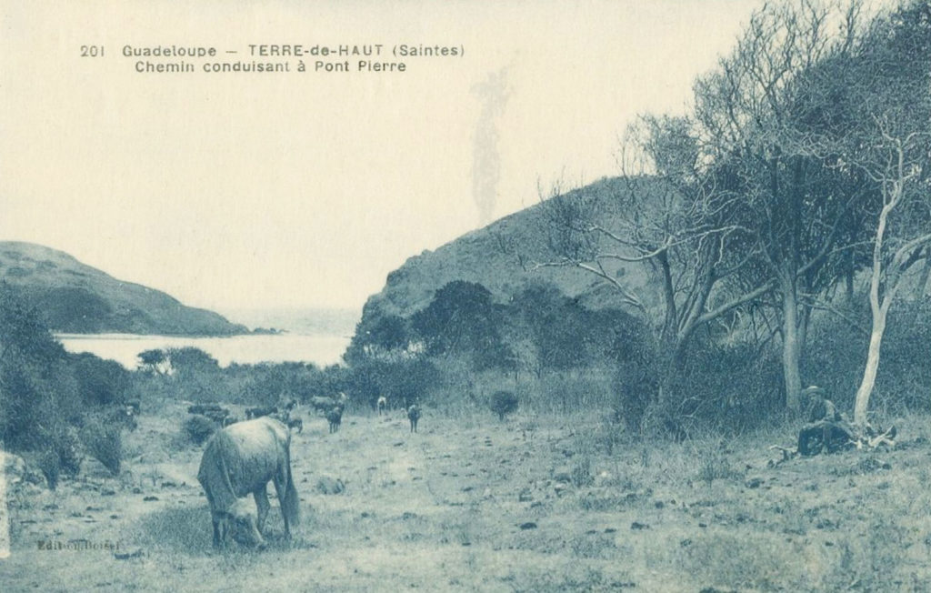 Les Saintes- Pompierre