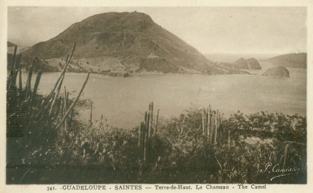 Les Saintes- Le Chameau