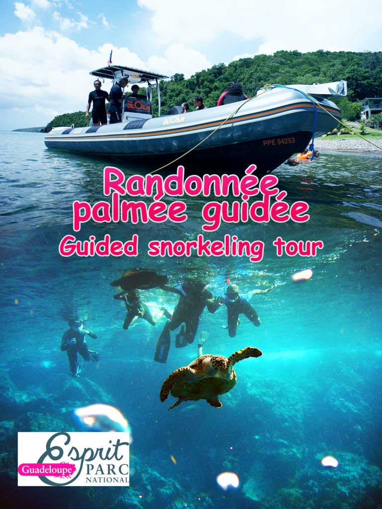 Anbadlola - Guadeloupe Plongée