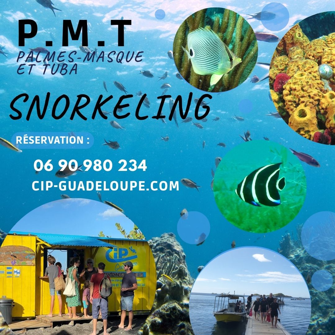 CIP Guadeloupe - PMT Snorkeling Réserve Cousteau