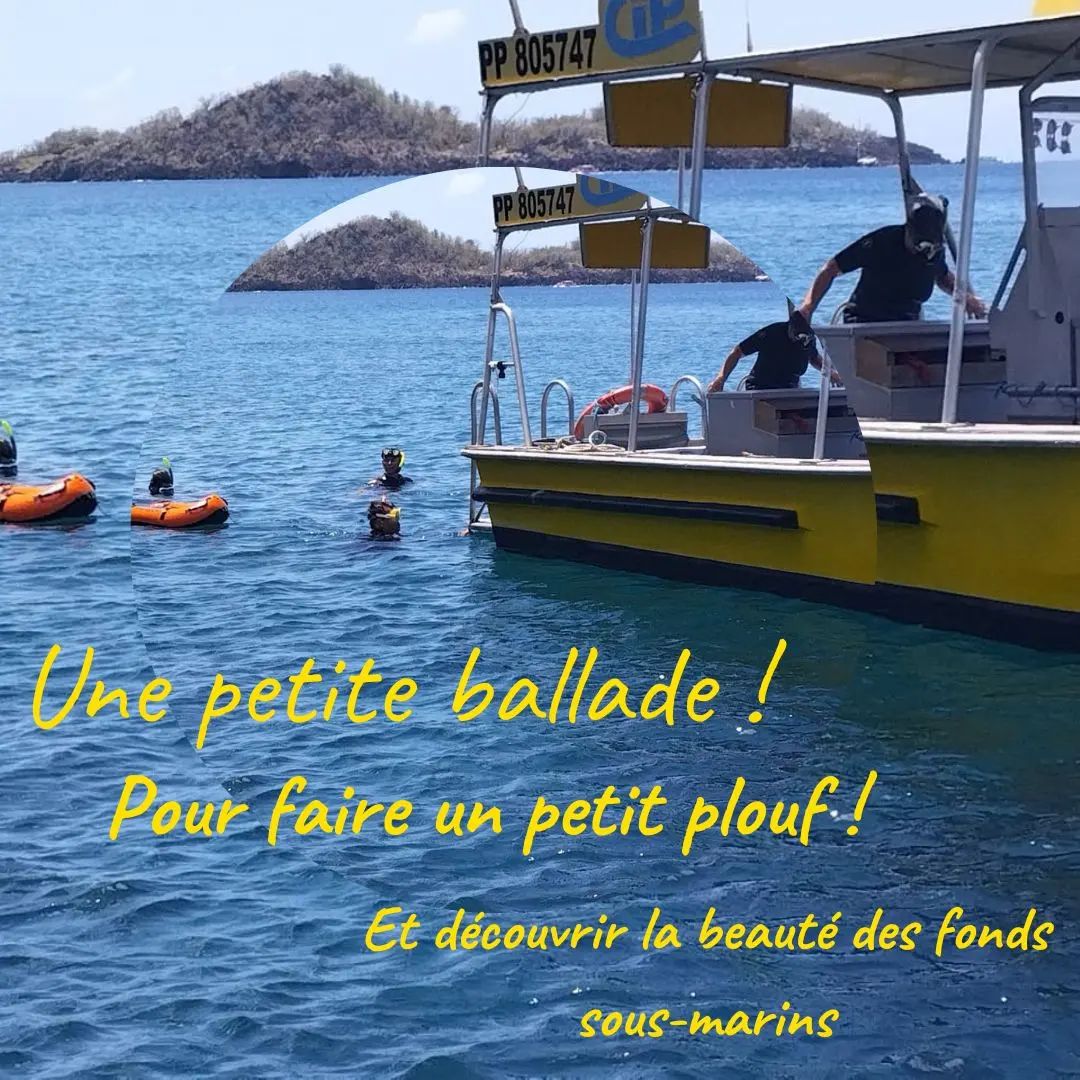 CIP Guadeloupe - PMT Snorkeling Réserve Cousteau