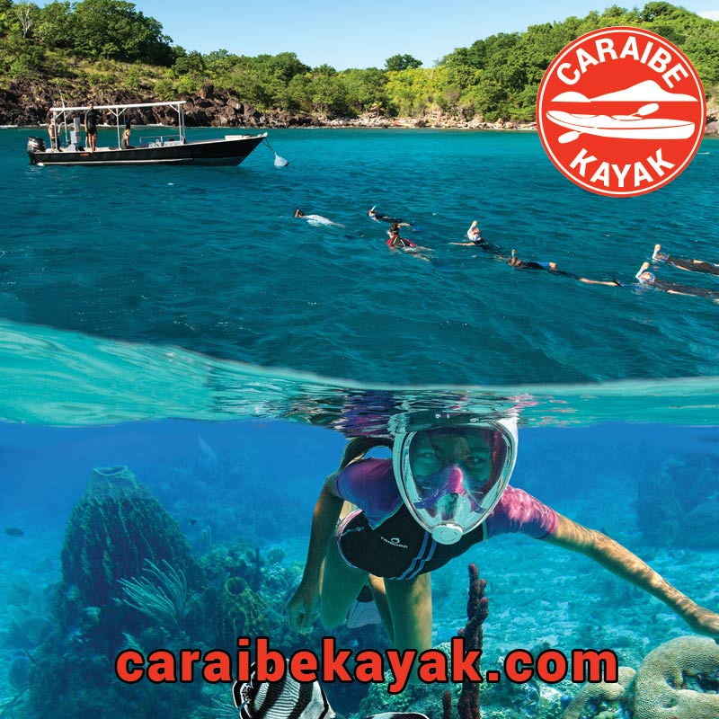 Aquatique Aventure - Réserve Cousteau Guadeloupe