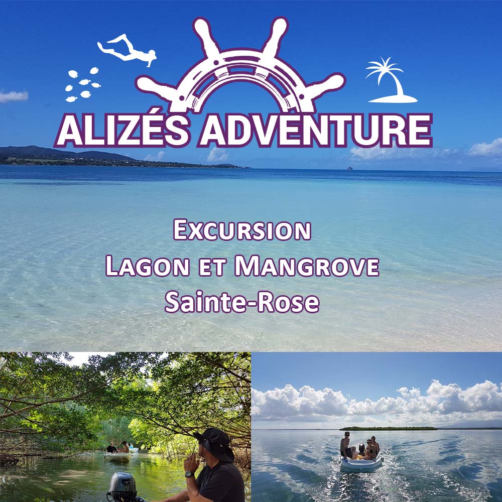 Alizés Adventure – Excursion lagon et mangrove