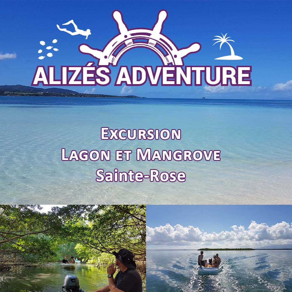 Alizés Adventure - Excursion lagon et mangrove