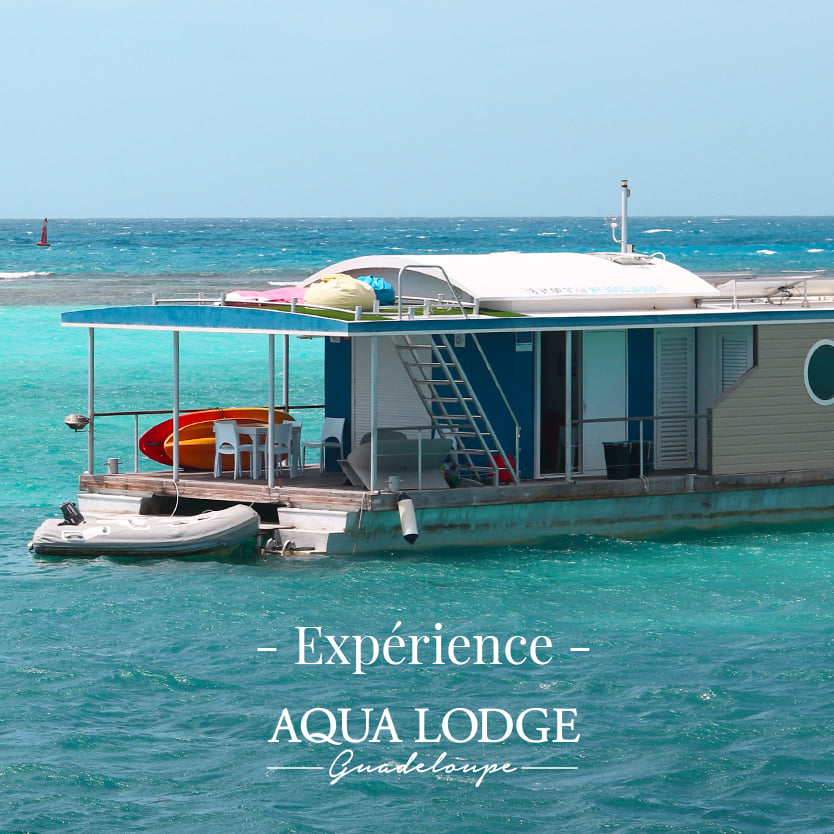 Aqua Lodge - Bungalows flottants