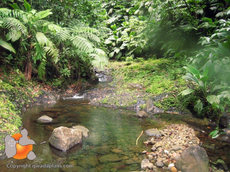 La Lézarde : remontée facile de la rivière