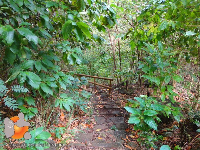 Chemin des roches gravées