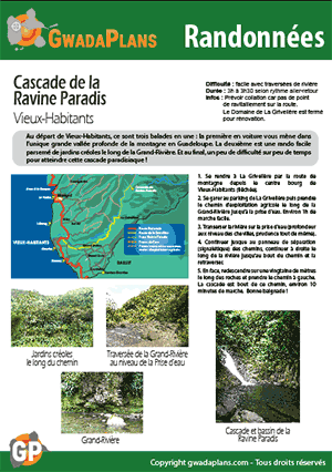 Fiche Rando Cascade de la Ravine Paradis