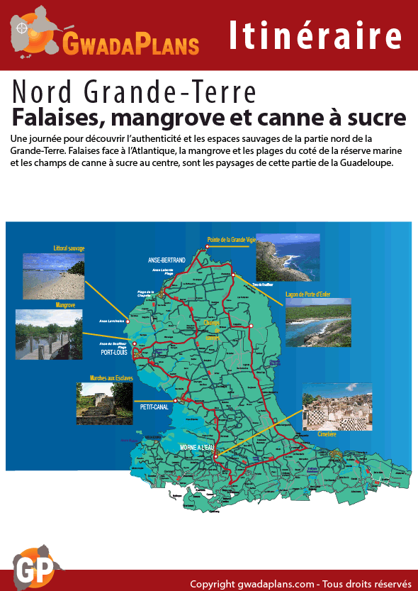 Falaises, mangrove et canne à sucre - Itinéraires Guadeloupe
