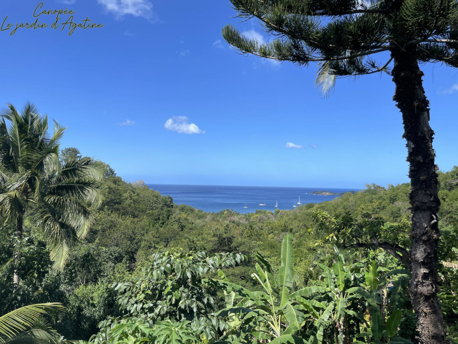 Jardin-agatine_canopee-vue-terrasse