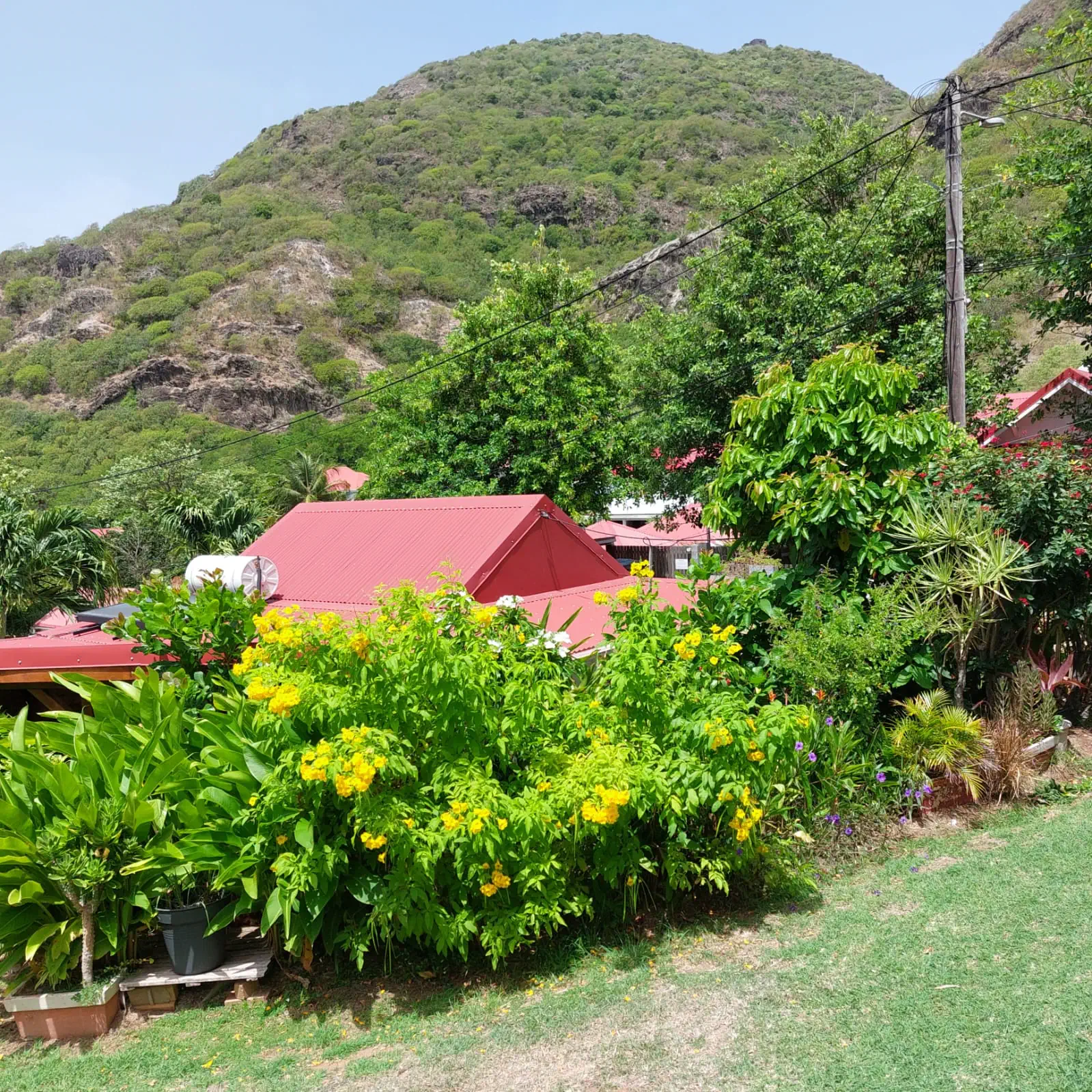 Bungalow Célyote vue sur jardin