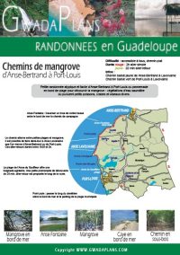 Télécharger la fiche Chemins de Mangrove - Guadeloupe
