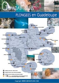 Télécharger fiche Plongée